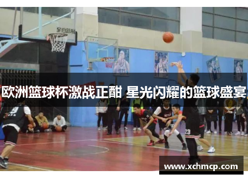 欧洲篮球杯激战正酣 星光闪耀的篮球盛宴